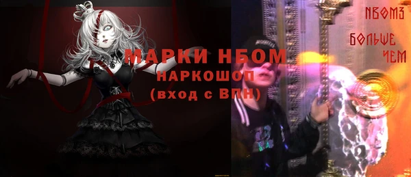 прущие грибы Михайловка