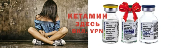 прущие грибы Михайлов