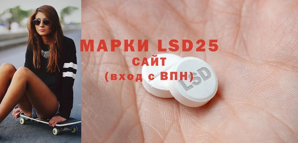 прущие грибы Михайловка