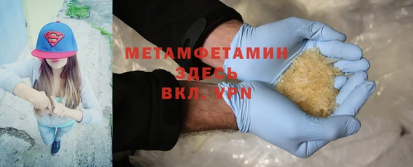 прущие грибы Михайловка