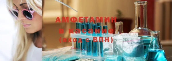 прущие грибы Михайлов