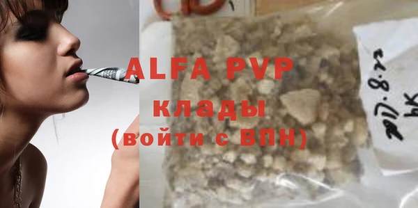 прущие грибы Михайлов