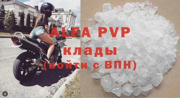 прущие грибы Михайловка