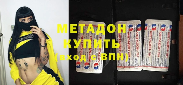 прущие грибы Михайлов