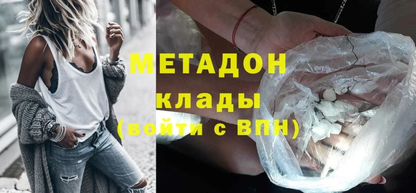 прущие грибы Михайлов