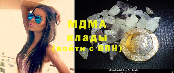 прущие грибы Михайлов