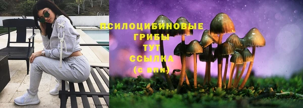 mdma Михайловск