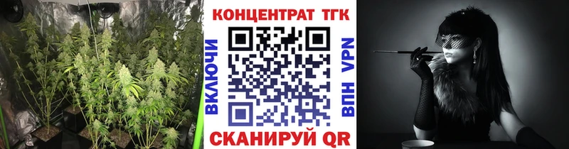 ОМГ ОМГ ТОР  Гаджиево  Дистиллят ТГК THC oil 