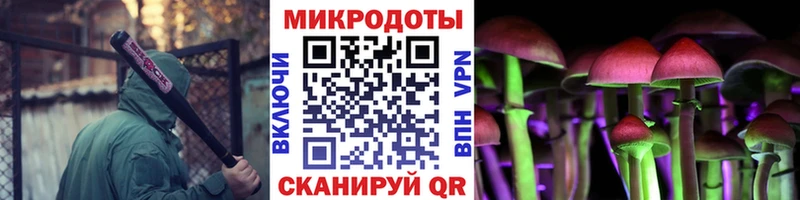 ссылка на мегу tor  Гаджиево  Псилоцибиновые грибы Psilocybine cubensis 